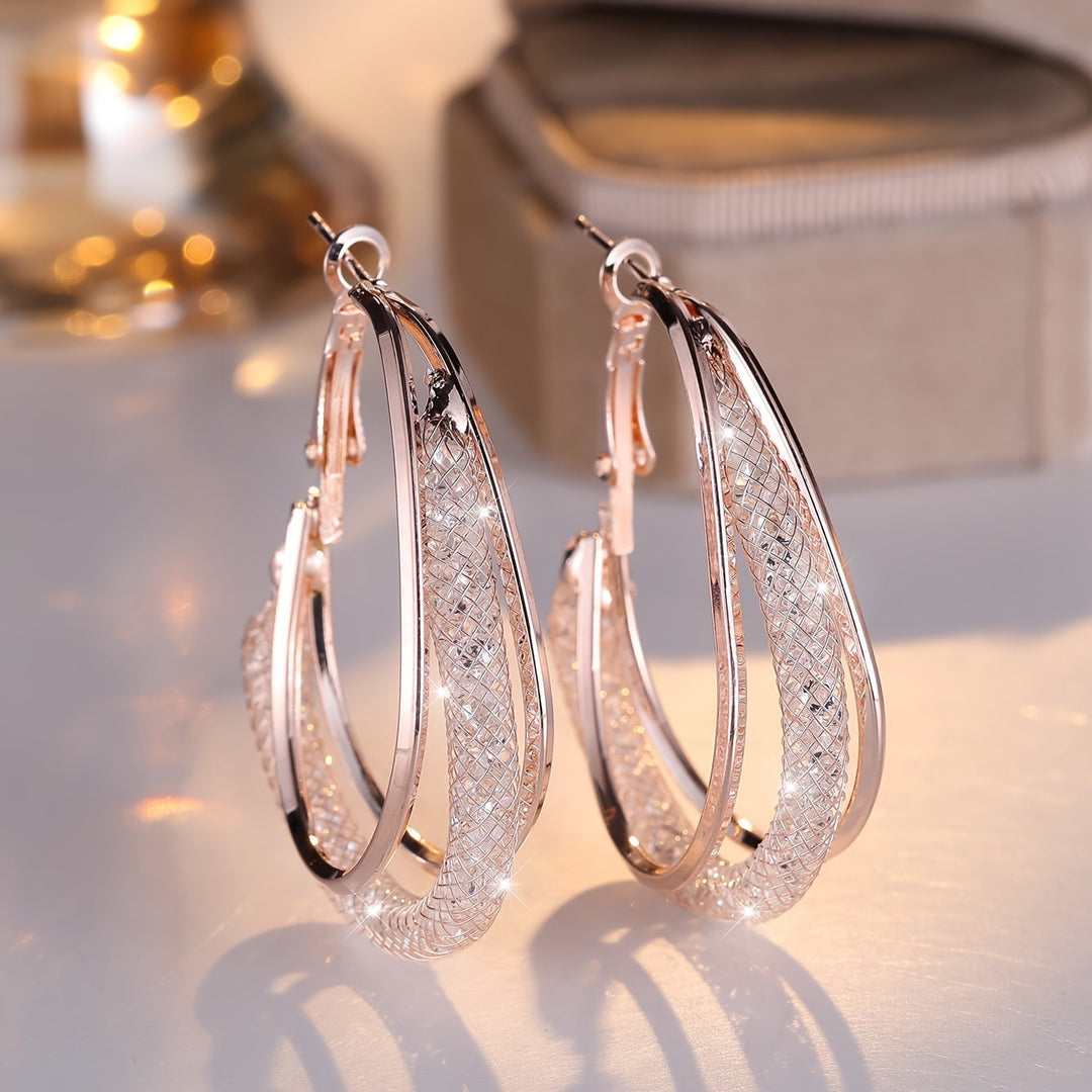 Luxury Zirconia Mesh and White Gold Earrings